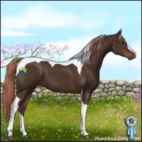 Horse Color:Liver Chestnut Tobiano 