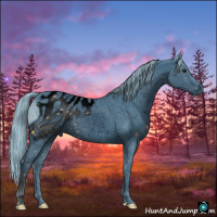 Horse Color:ERROR: UNKNOWN ANOMALY