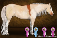 Horse Color:White Spotted Silver Brown Dun Rabicano 