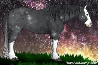 Horse Color:Black Splash 