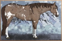 Horse Color:White Spotted Liver Red Dun 