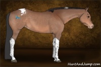 Horse Color:Bay Tobiano Varnish 