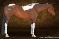 Horse Color:Bay Roan Tobiano 