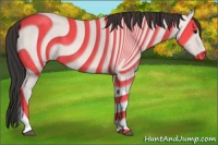 Horse Color:Bay Tobiano 