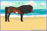 Horse Color:Bay Frame