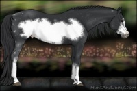 Horse Color:Black Frame