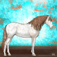 Horse Color:White Spotted Gold Champagne Dun Appaloosa 