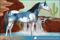 Horse Color:ERROR: UNKNOWN ANOMALY