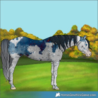 Horse Color:ERROR: UNKNOWN ANOMALY