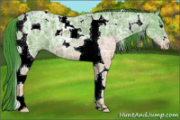 Horse Color:Watercolor Black Ice Tobiano 