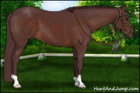 Horse Color:Chocolate Brown 