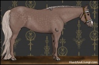 Horse Color:Chocolate Silver Black 