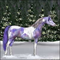 Horse Color:Nacre Watercolor Liver Red Dun Ice Sabino Tobiano 