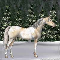 Horse Color:Gray White Spotted Silver Sable Cream Champagne Pearl Dun Tobiano 