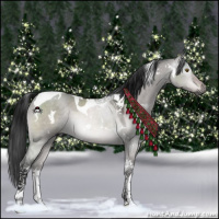 Horse Color:Gray Platinum White Spotted Brown Dun Tobiano 