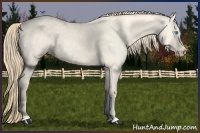 Horse Color:Perlino Roan Dun