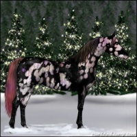 Horse Color:Void Nacre Watercolor Liver Red Dun Ice Sabino Tobiano Leopard Rabicano 