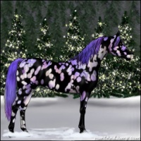 Horse Color:Void Nacre Watercolor White Spotted Brown Ice Onyx Tobiano Near Leopard Rabicano 
