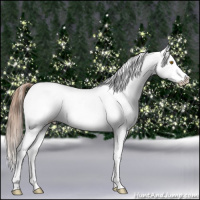 Horse Color:White Spotted Brown Pearl Dun Sabino Near Leopard 