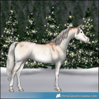 Horse Color:White Spotted Silver Sable Champagne Onyx Sabino 