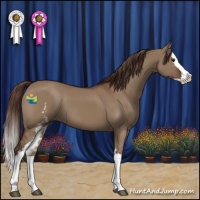 Horse Color:White Spotted Liver Red Dun Splash 
