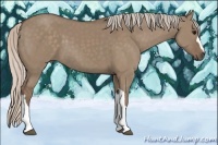 Horse Color:Silver Grullo 