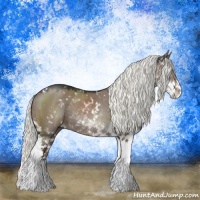 Horse Color:Liver Red Dun Mushroom Sabino Rabicano