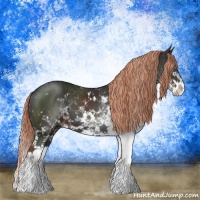 Horse Color:Liver Chestnut Sabino 