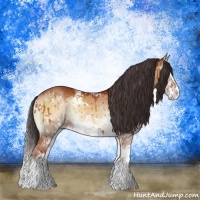 Horse Color:Brown Onyx Sabino Splash Rabicano Brindle