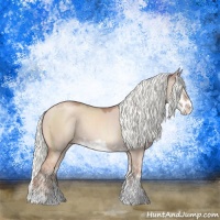 Horse Color:Gold Champagne Dun Mushroom Sabino Splash Rabicano