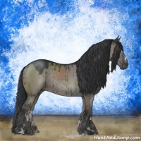 Horse Color:Grullo Mushroom Sabino Rabicano Brindle 