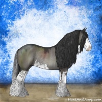 Horse Color:Grullo Mushroom Sabino Splash Rabicano