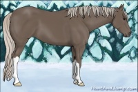 Horse Color:Silver Black