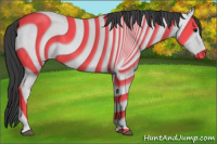 Horse Color:Blue Roan 