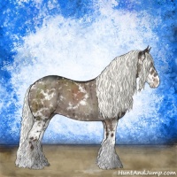 Horse Color:Liver Red Dun Mushroom Sabino Rabicano Brindle