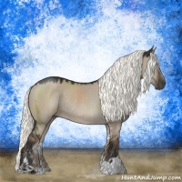 Horse Color:Liver Red Dun Mushroom Sabino Rabicano 