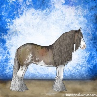 Horse Color:Liver Red Dun Mushroom Sabino Splash Brindle 