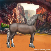 Horse Color:Silver Blue Roan 