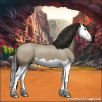 Horse Color:Smoky Grullo Splash