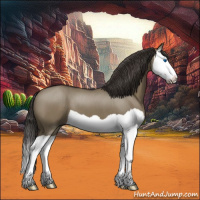 Horse Color:Smoky Grullo Splash