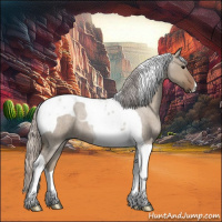 Horse Color:Silver Grullo Roan Tobiano 