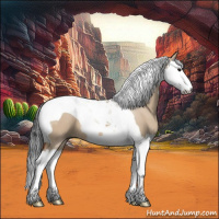 Horse Color:Bay Dun Splash Tobiano