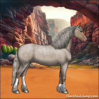 Horse Color:Silver Grullo Roan 