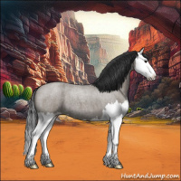 Horse Color:Grullo Roan Splash 