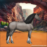 Horse Color:Grullo Roan 