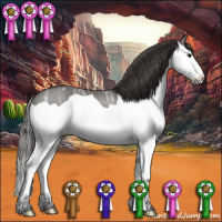 Horse Color:Smoky Black Ice Splash