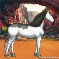 Horse Color:Smoky Black Splash 