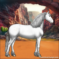 Horse Color:Buckskin Ice Splash Tobiano