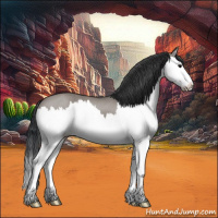 Horse Color:Grullo Roan Splash 