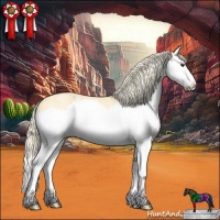 Horse Color:Palomino Ice Roan Splash